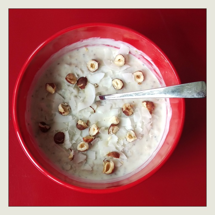 Rhabarber-Joghurt mit Kokos und Haselnüssen – Schlemm dich fit!